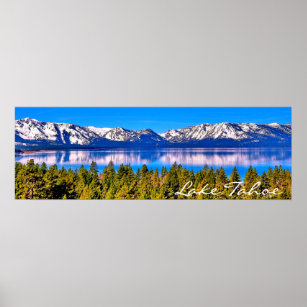 12 X 36 Posters Prints Zazzle