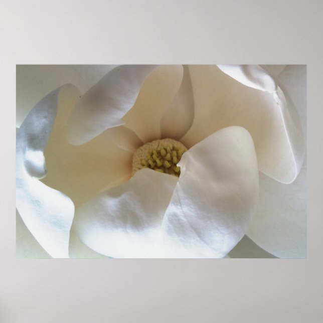 36" x 24" magnetic poster, value matte poster (Front)