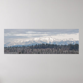 36X12 Olympic Mountain Range Poster