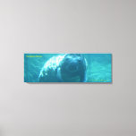36x12x1.5 Gentle Manatee Wrapped Canvas Photo at Zazzle