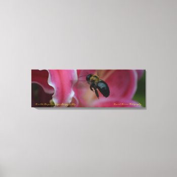 36x12x1.5 Wrapped Canvas Bee Pollination Photo by dbrown0310 at Zazzle