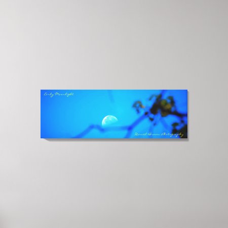 36x12x1.5 Wrapped Canvas Photo Early Moonlit Night