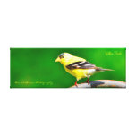 36x12x1.5 Wrapped Canvas Photo Yellow Finch at Zazzle