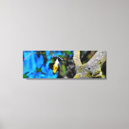 36x12x1.5 Wrapped Canvas Photo Yellow Finch