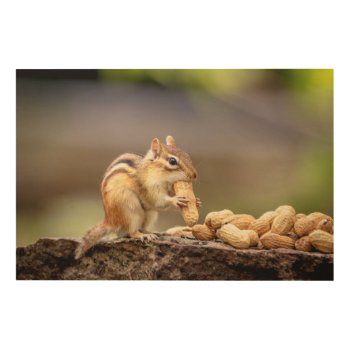 36x24 Chipmunk Eating A Peanut Wood Wall Decor by debscreative at Zazzle
