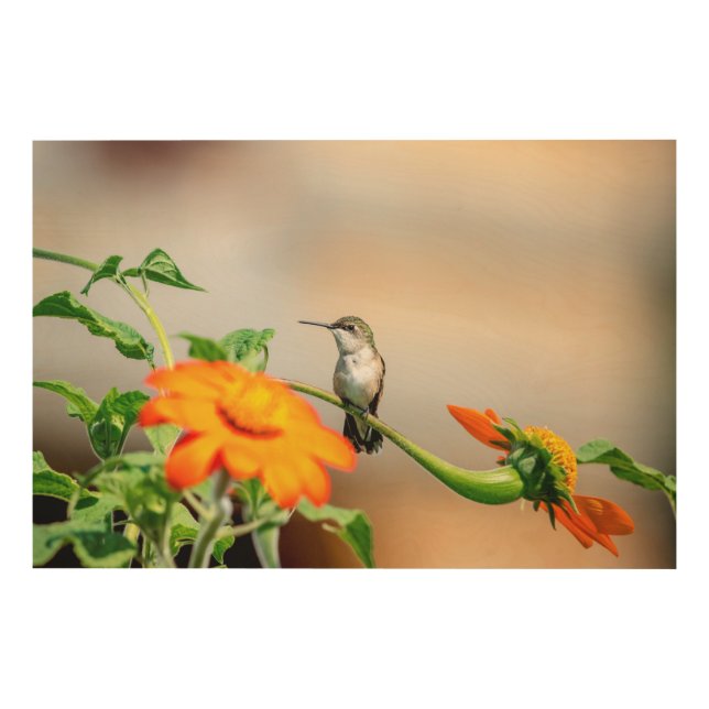 36x24 Hummingbird on a flowering plant Wood Wall Decor (Front)
