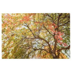 36x24 Metal Wall Art
