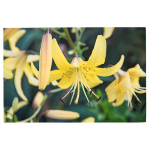 36x24 Metal Wall Art