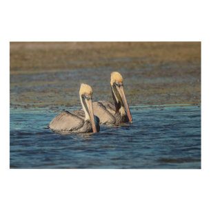 36x24 Pair of Pelicans Wood Wall Decor
