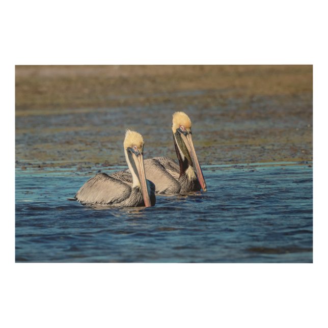 36x24 Pair of Pelicans Wood Wall Decor (Front)