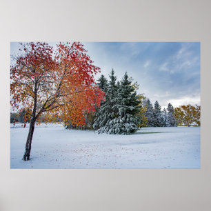 36x24 Wall Poster