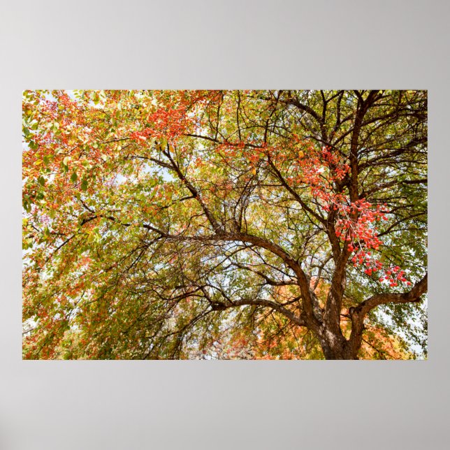 36x24 Wall Poster (Front)