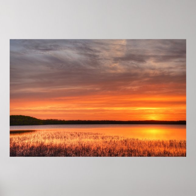 36x24 Wall Poster (Front)