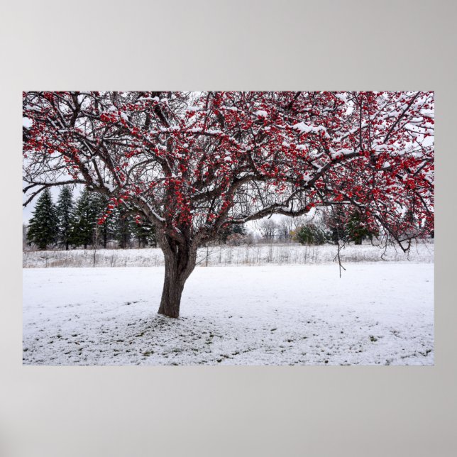 36x24 Wall Poster (Front)