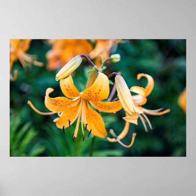 36x24 Wall Poster (Front)