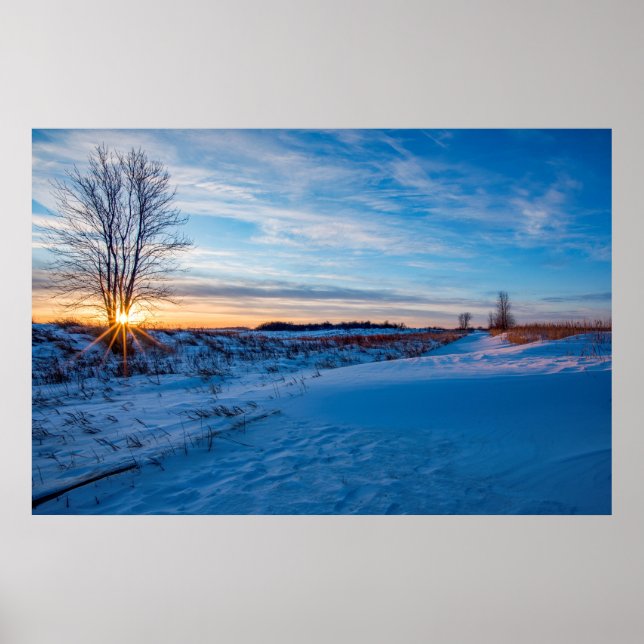 36x24 Wall Poster (Front)