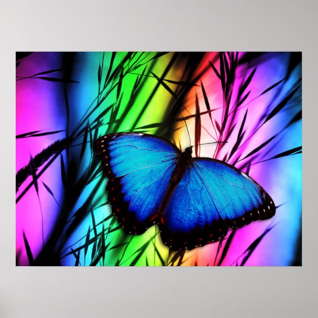 370729 RAINBOW DIGITAL BUTTERFLY REALISM BACKGROUN POSTER (Front)