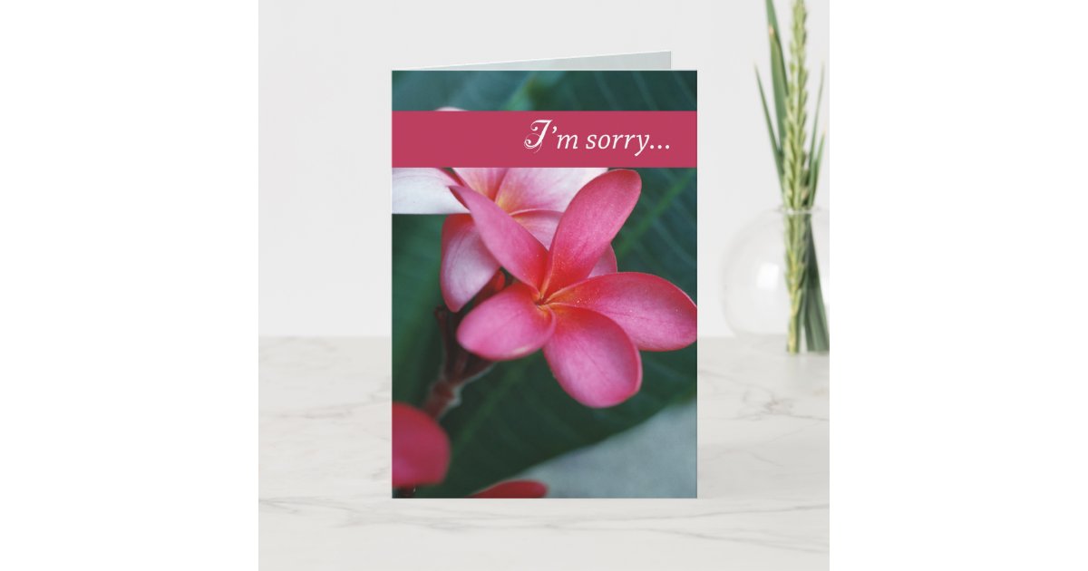 3747 Apology Flower Card
