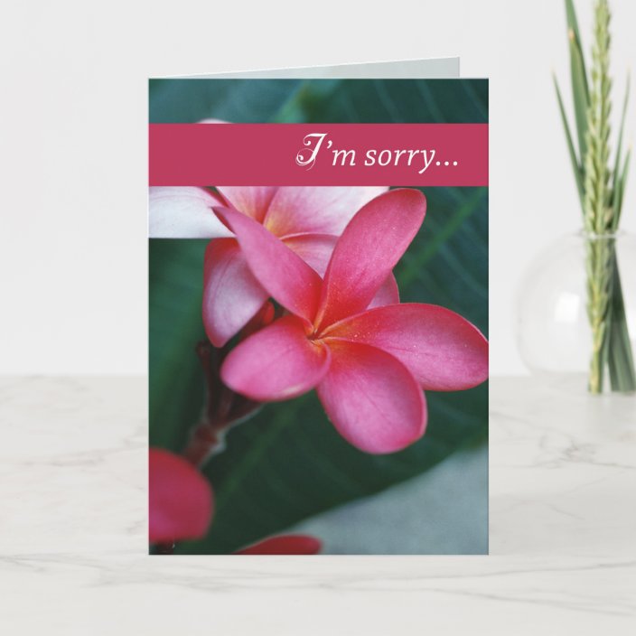 3747 Apology Flower Card