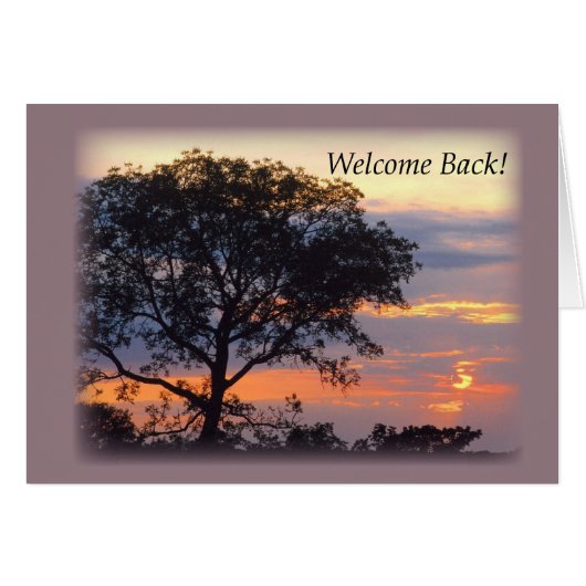 3748 Welcome Back Tree Sunset Cards (Front Horizontal)