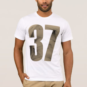 37th Birthday Celebrations T-Shirt