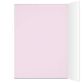 3829 Pink Sister (Inside (Left))