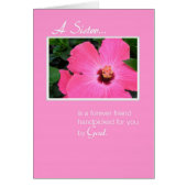 3829 Pink Sister (Front)