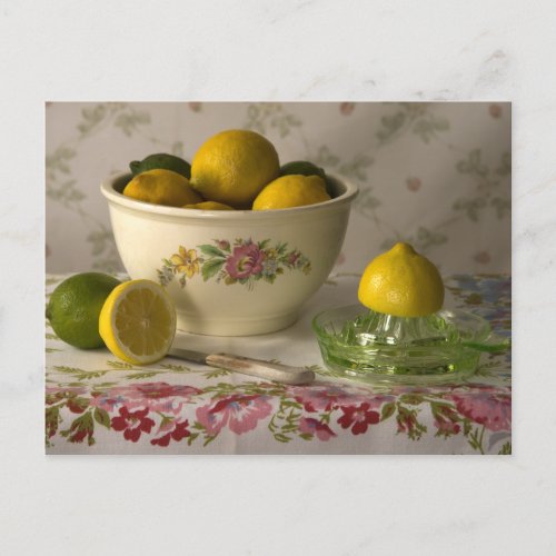3856 Bowl of Lemons  Limes Still Life Postcard