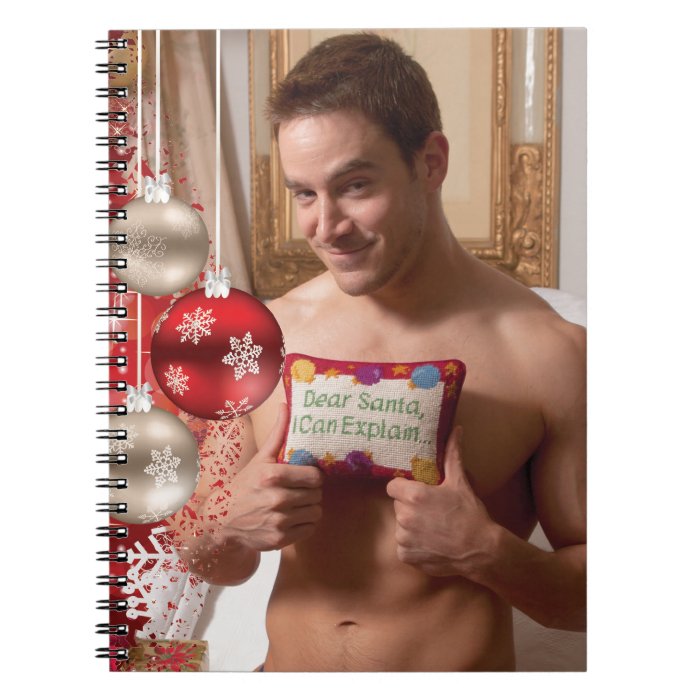 38886B RA Chris Rockway Christmas Spiral Note Book