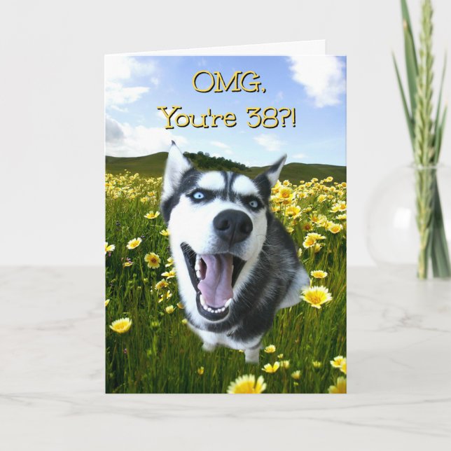 38th Birthday Cute Husky Dog in Yellow Flowers Card (Front)