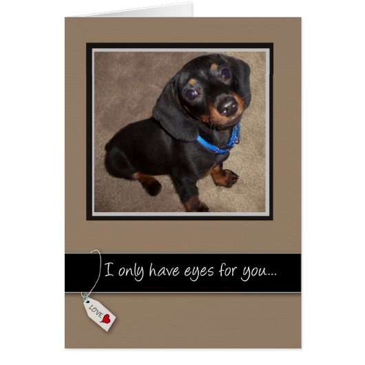 3938 Love You Dog Cards (Front)