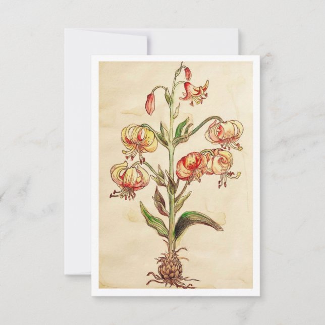 3.5" x 5" Flat Thank You Card (Front)