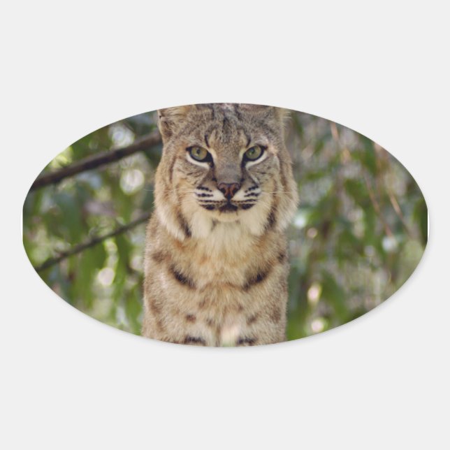 3.5x3.5-Template-Oval Magnet Oval Sticker (Front)