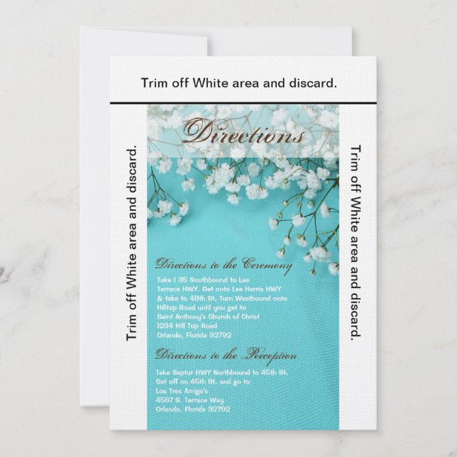 3.5x6 Directions Card Spring Babys Breath Flower (Front)