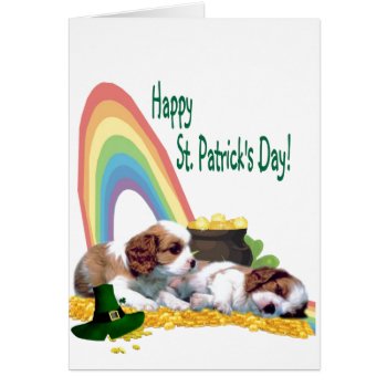 3. Adorable Cavalier King Charles Spaniel Puppies by 4westies at Zazzle