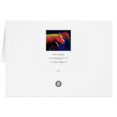 3 amigos (Back Horizontal)