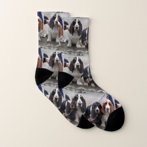 3 Basset_hound_puppies Socks