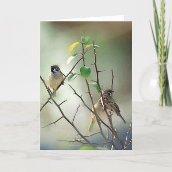 3-birds Card by William63 at Zazzle