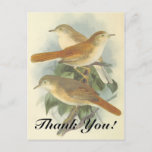 [ Thumbnail: 3 Birds Perched On a Branch "Thank You!" Postcard ]