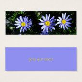 3 blue suns (Front & Back)