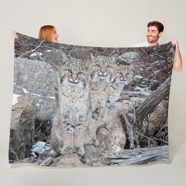 3 BOBCATS FLEECE BLANKET (In Situ)