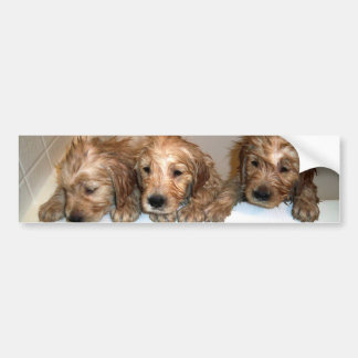 3 Boys in the Tub Bumper Sticker