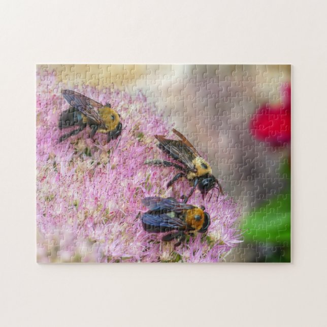 3 Bumblebees Jigsaw Puzzle (Horizontal)