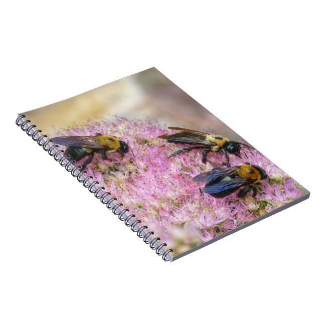 3 Bumblebees Notebook (Right Side)