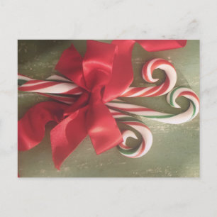 3 Candy Canes Holiday Postcard