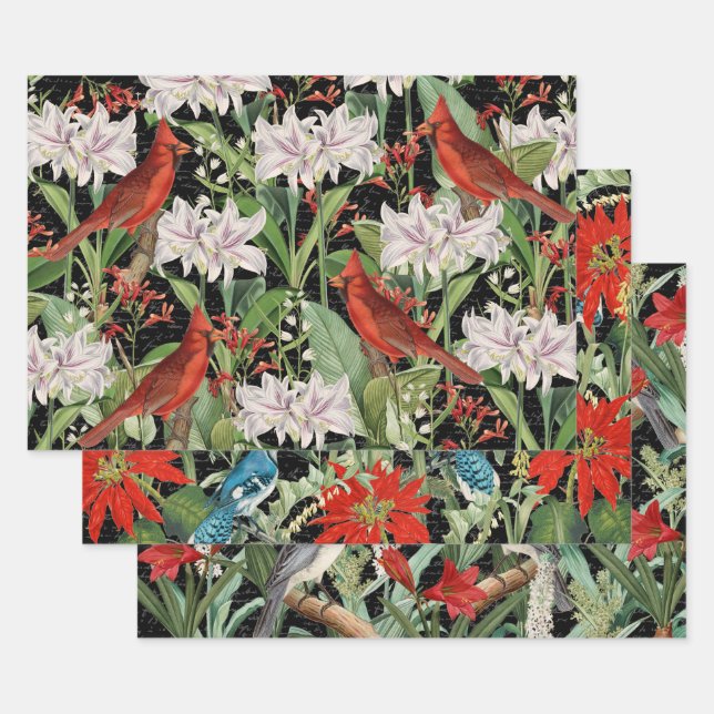3 Cardinal Jay Winter Bird Collage Ephemera Sheets (Set)