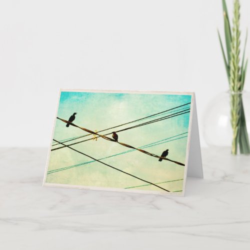 3 Cawing Crows on a Wire Blank Greeting Card