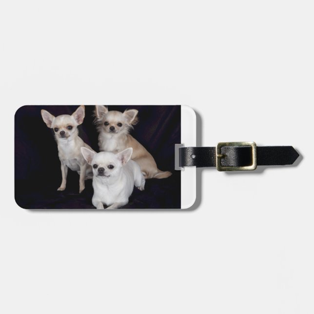 3 chihuahuas.png luggage tag (Front Horizontal)