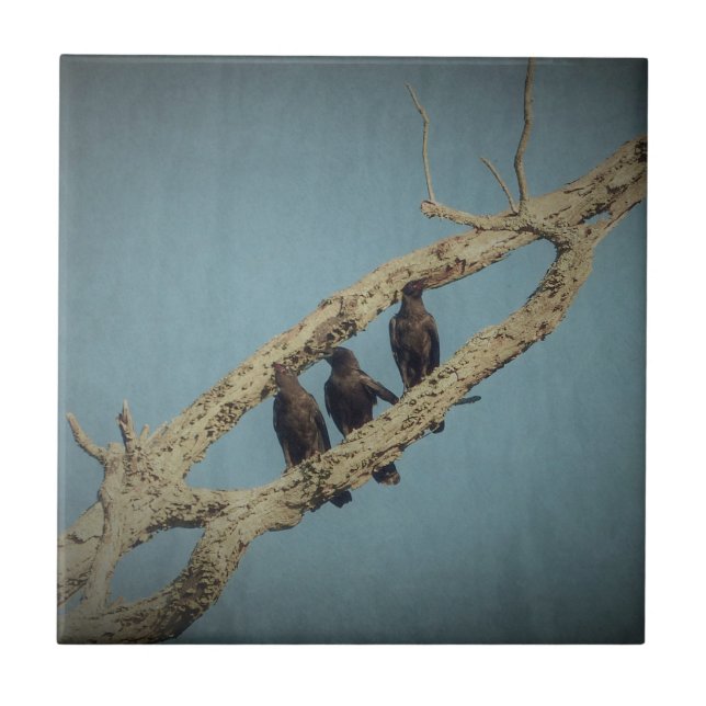 3 Crows Ceramic Tile (Front)