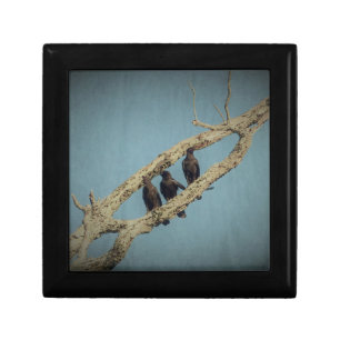 3 Crows Gift Box